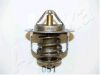 NISSA 212000C810 Thermostat, coolant
